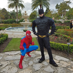 Spider-Man and Batman
