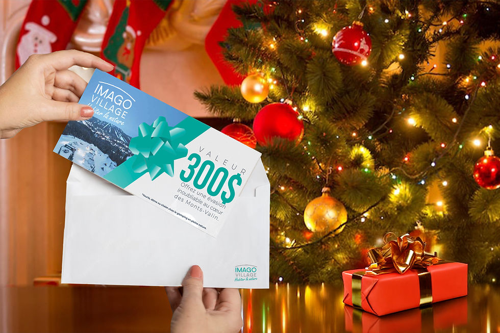 300 $Carte Cadeau Imago Village