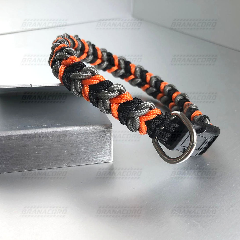 Miniaturbild: Paracord Halsband für kleine Vierbeiner