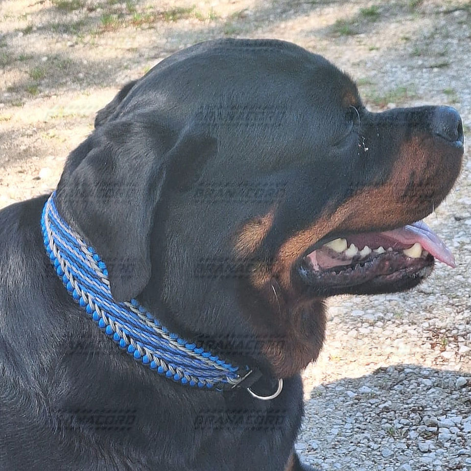 Miniaturbild: Extra breites Hundehalsband für grosse Hunde