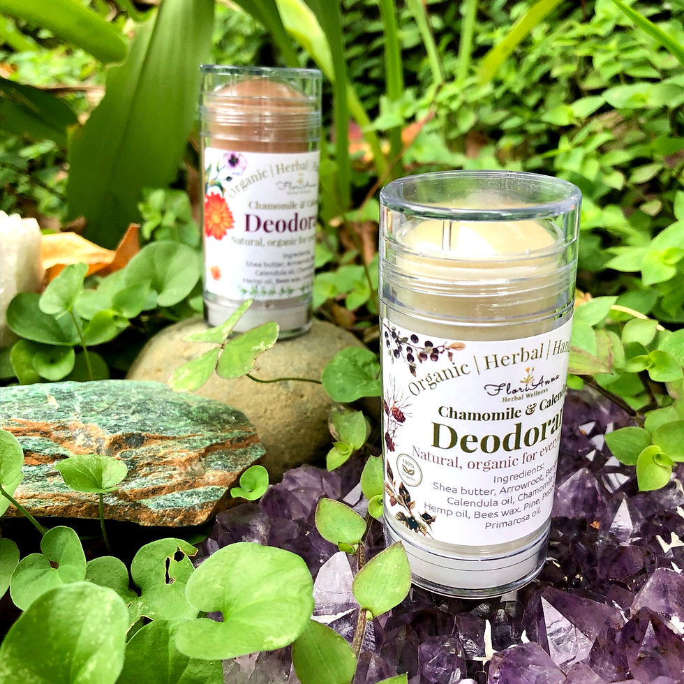 Thumbnail: Bentonite Clay Deodorant - CHAMOMILE & CALENDULA - Mild Pine Scented