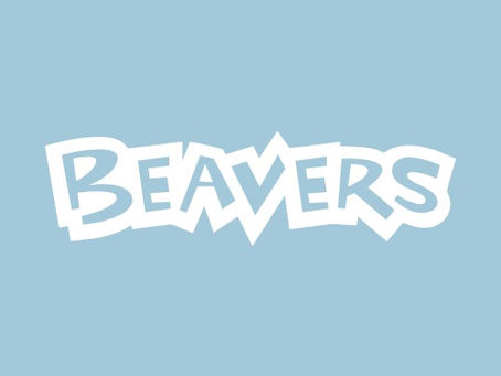 An update from one of our Beavers!
