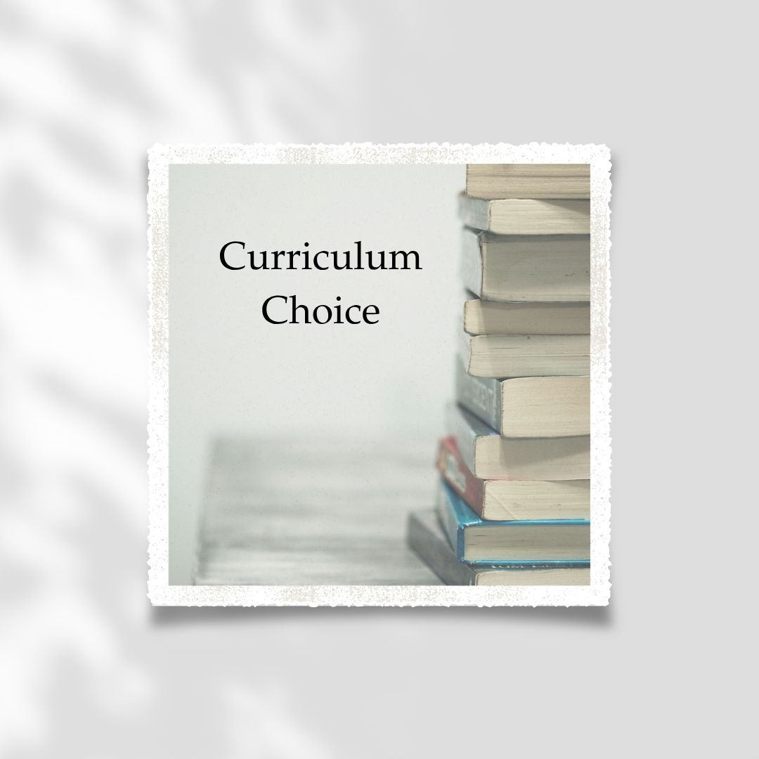 114 Homeschool Curriculum Choices Every Parent Should Know