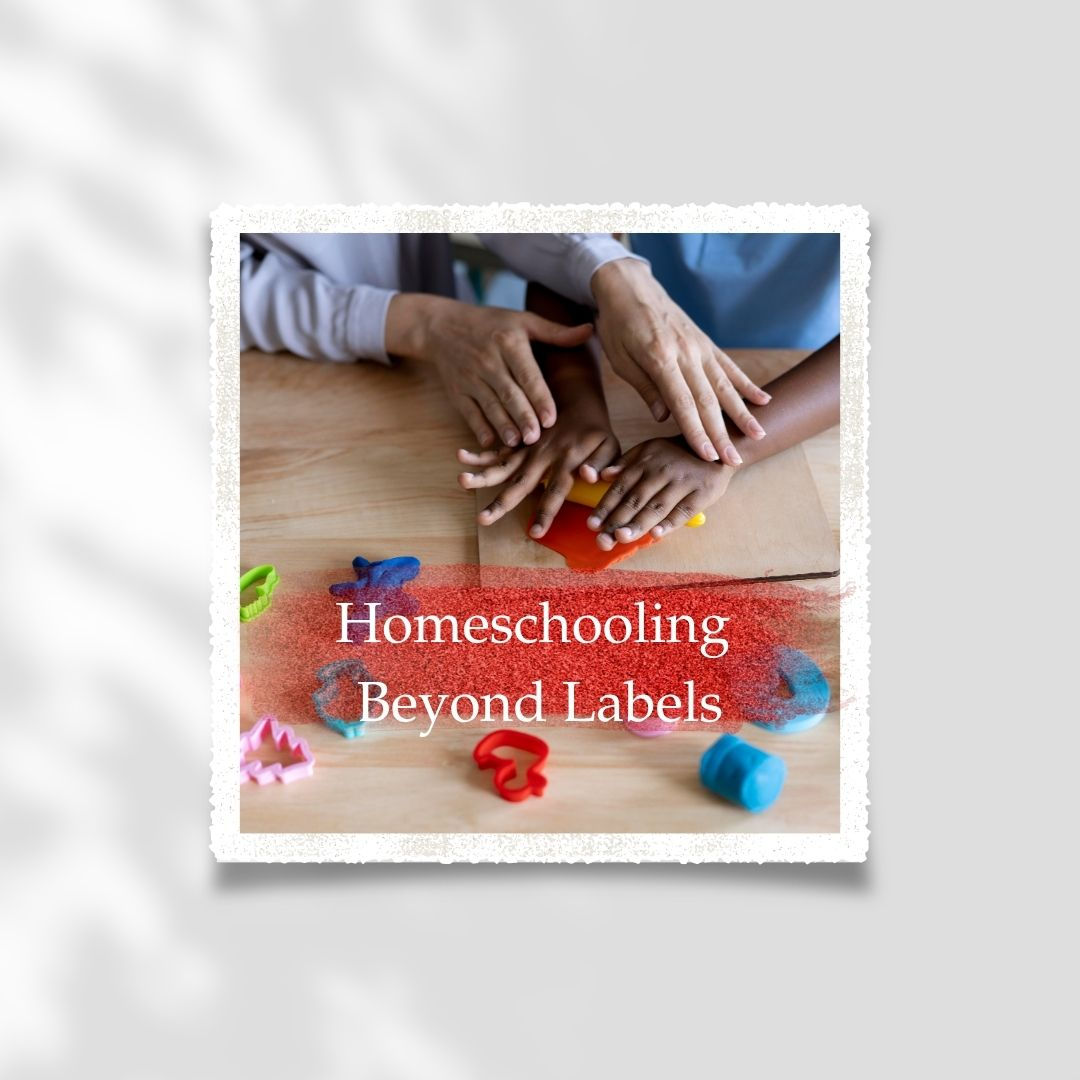 Homeschooling Beyond Labels