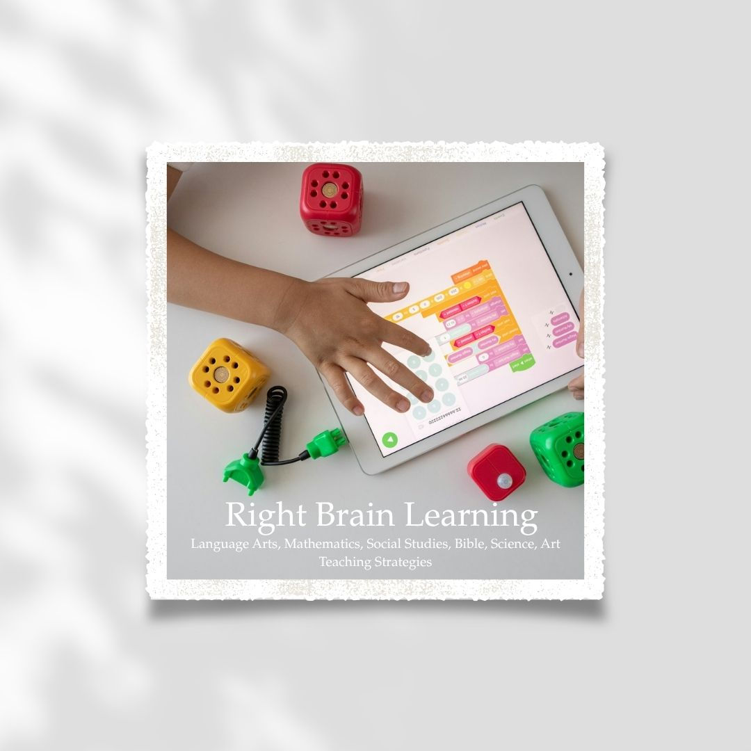 Right Brain Learning Curriculum Guide