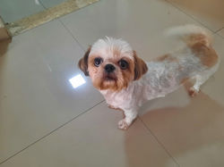 WhatsApp Image 2025-01-03 at 17.32.31 (1)