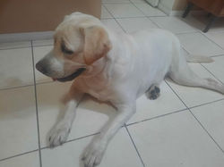 WhatsApp Image 2023-07-24 at 20.40.08