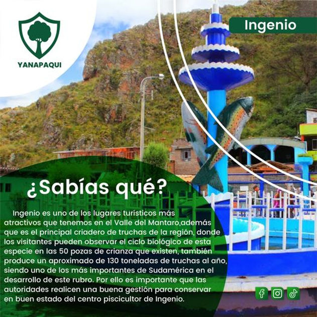 ingenio 9.jpg