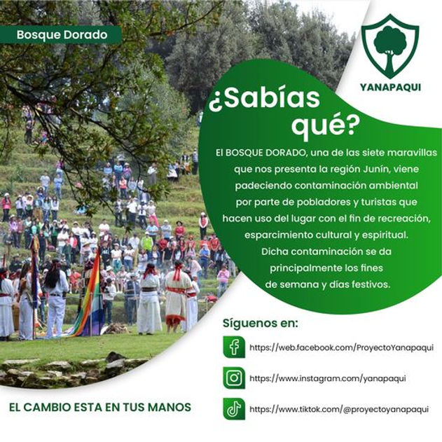 Bosque 1.jpg