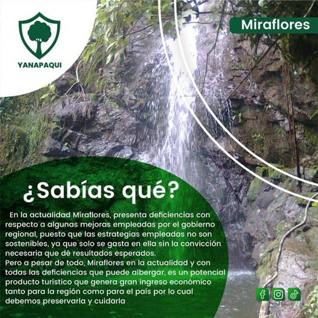 Miraflores 11.jpg
