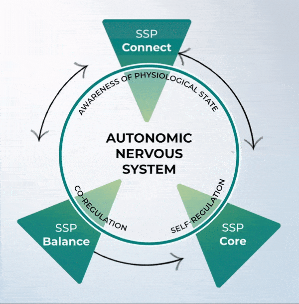 Animated diagram of relationship between SSP Connect, SSP Balance, and SSP Core.