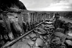 hdr 8 bw.jpg