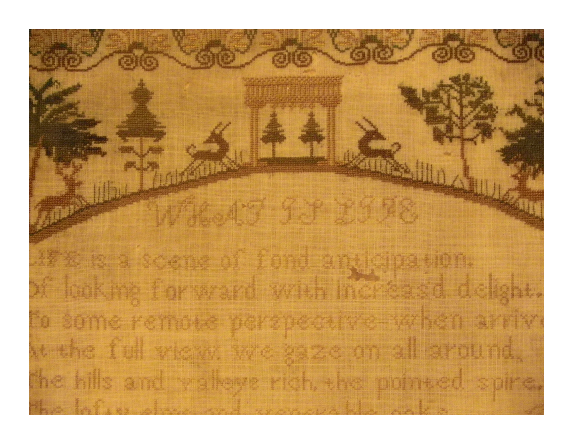 SAMPLER £220