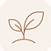 ChatGPT Image Aug 17, 2026, 11_29_13 AM (2).png