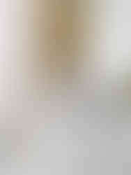 A bright and airy bathroom with light gray and wood vanity cabinetry designed by Miami Interior Designer The Habitat Collective