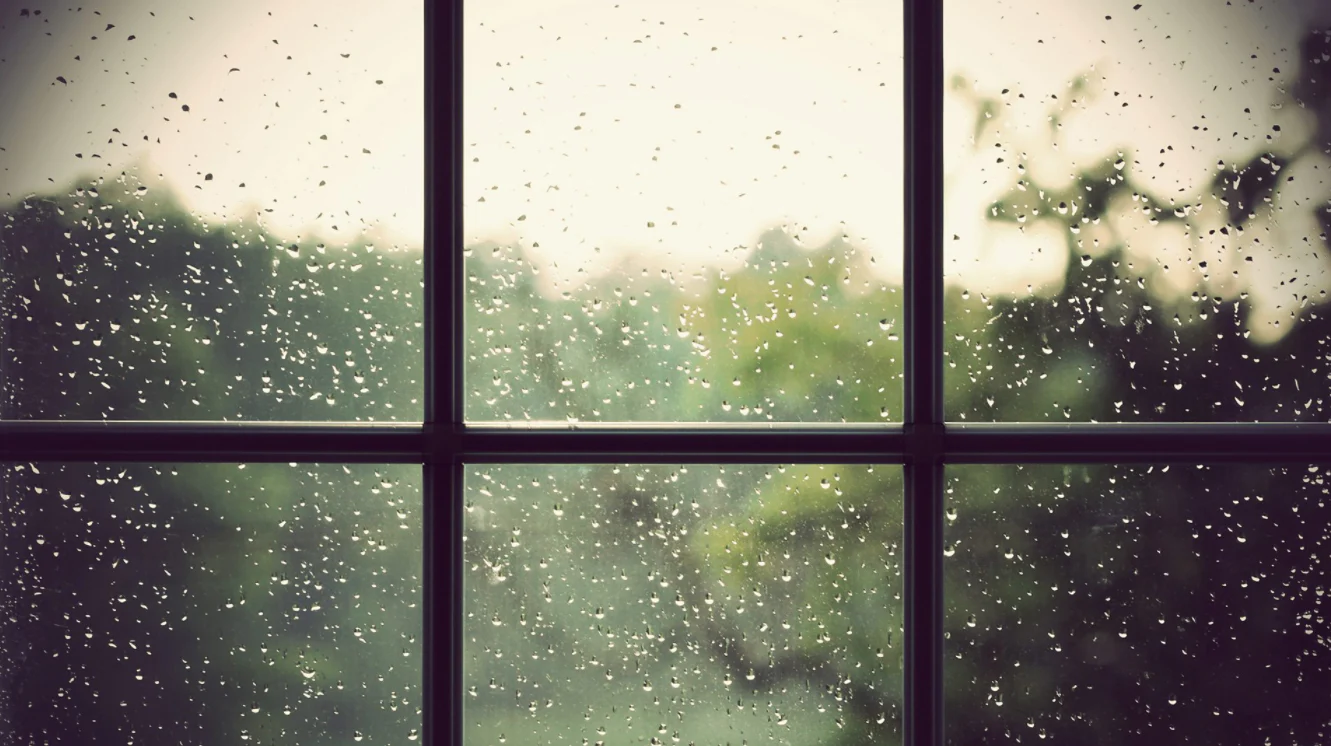 Rainy_Fall1.webp