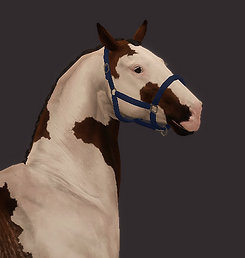 Screenshot (1329).png