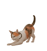 Screenshot__584_-removebg-preview.png