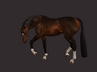 Screenshot (1313).png