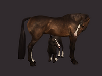 Screenshot (1310).png
