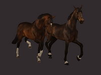 Screenshot (1312).png