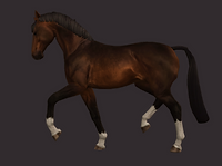 Screenshot (1316).png