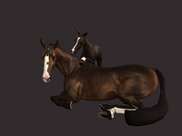 Screenshot (1309).png