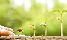 growth_seeds.jpeg