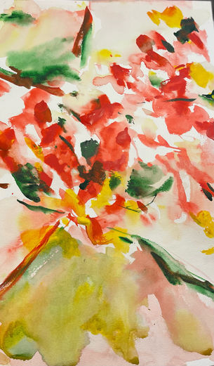 Frank’s November 10 2025