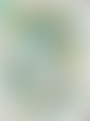 Norwegian Bliss 11/30/2024