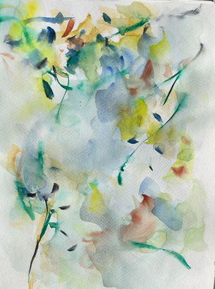 Norwegian Bliss 11/30/2024