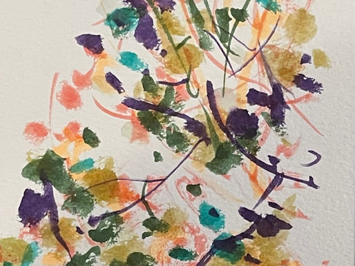 Sunday South Orange 11 20 2022