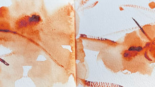 San Dieguito May 9th 2024