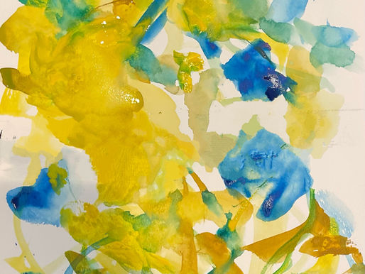 Frank’s still life vs anaerobic pool sprints