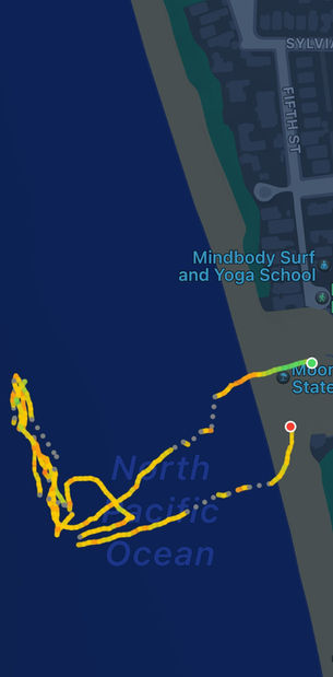 Blog | Paintings of Dzu Do