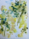 01b Dzu Do WC 9x12 9.8_edited.jpg