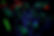 Laser Tag.png