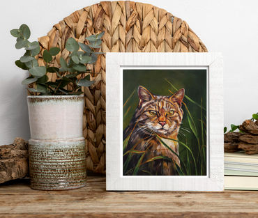 Scottish Wildcat portrait with a dark green background and some blades of grass.