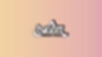 SALM-BANNER-2025.jpg