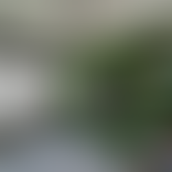 Why Repainting Your Home Boosts Property Value