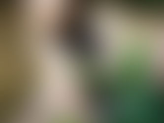 7/7(月)坂本由奈さん(25)お写真1枚更新しました。