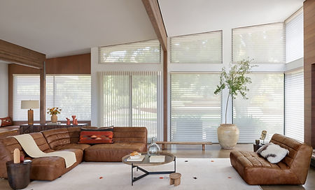 Silhouette Window Shadings and Luminette Privacy Sheers (1).jpg