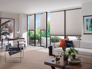 Cellular Blinds Vancouver_Honeycomb_2021_Duette_TrackGlide_LivingRoom.TIF.jpg