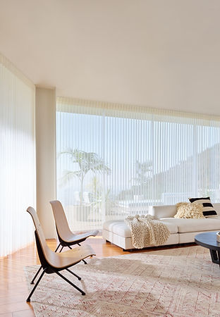 Luminette Privacy Sheers (2).jpg