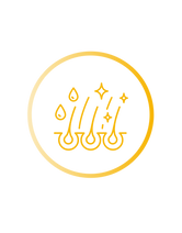 logo2.png