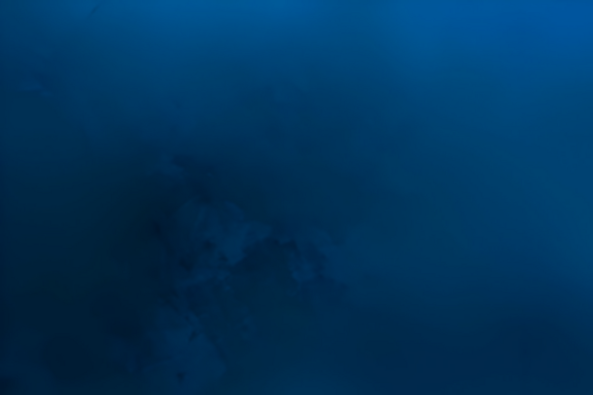 pixelcut-export (3)-modified.jpeg