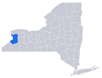 erie county cdpap elderly unpaid caring graciously disability parent member