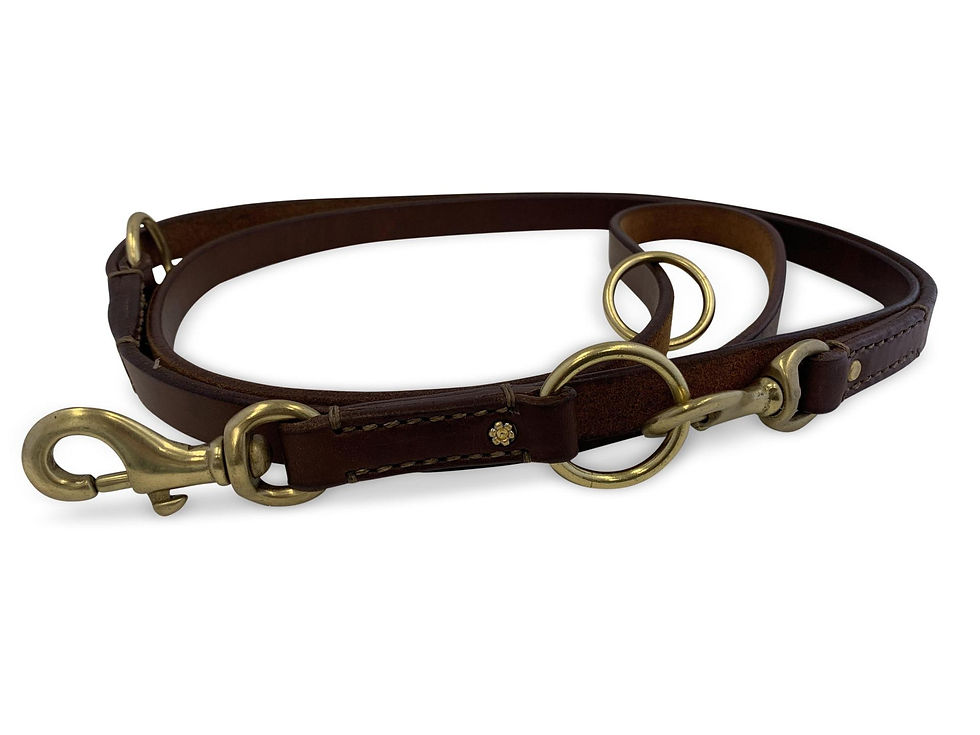 Thumbnail: Multi-function Leash