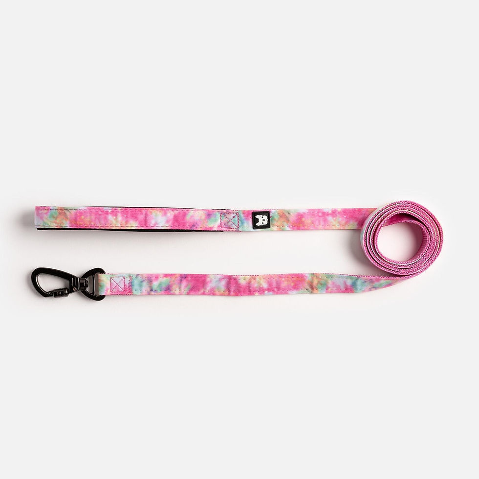 Thumbnail: Poplin Dog Leash - Pink Tie Dye