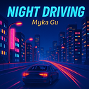 Night Driving